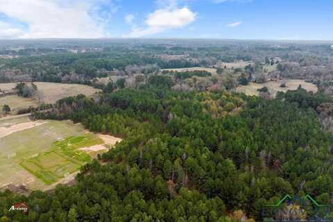 Tbd FM 782, Henderson, TX 75652