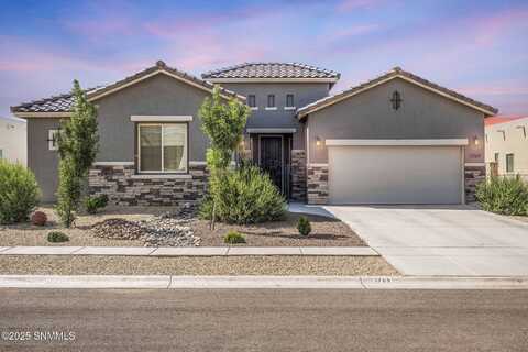 3769 Talon Avenue, Las Cruces, NM 88012