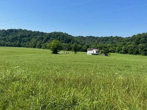 437 Little Renox Road, Burkesville, KY 42717