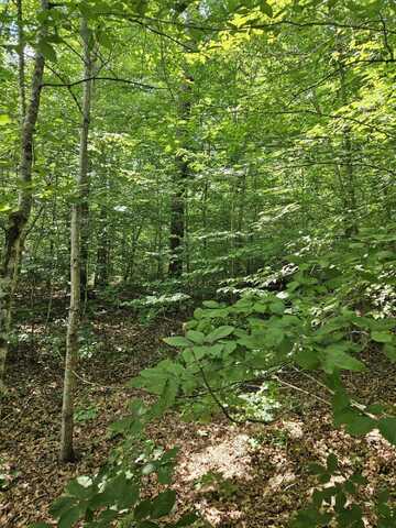 000 Hites Creek, Middleburg, KY 42541