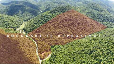 0 Stinking Creek Hwy 718, Flat Lick, KY 40935