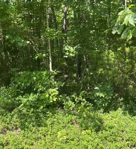 1111 Hwy 3285, Monticello, KY 42633