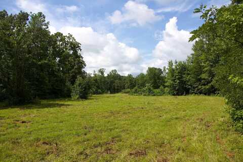 4970 SARDIS, Somerville, TN 38068