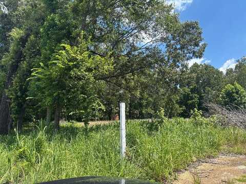 1734 MT PISGAH, Unincorporated, TN 38016