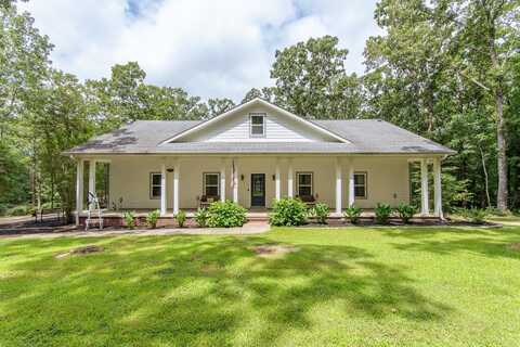 40 SUZY, Savannah, TN 38372