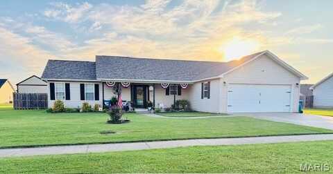 866 Saint John Lane, New Madrid, MO 63869