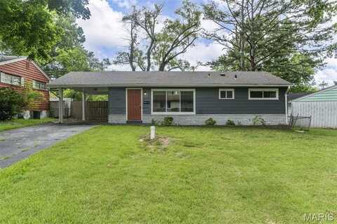 10008 Lakemoor Drive, Saint Louis, MO 63136