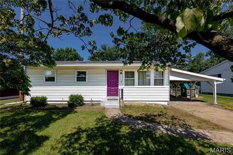 11357 Revere Lane, Saint Louis, MO 63128