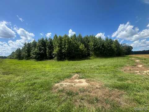 0 CR 614, Broseley, MO 63932