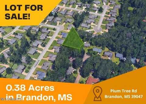 136 Plum Tree Road, Brandon, MS 39047