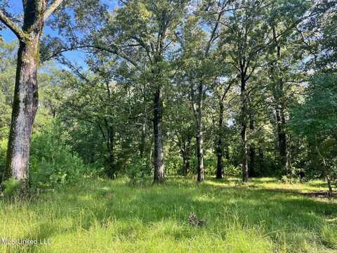Old Hwy 49 S, Richland, MS 39073