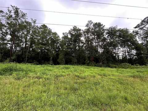 Tbd NE HWY 27 ALT, WILLISTON, FL 32696