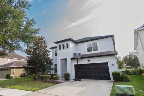 19246 EARLY VIOLET DRIVE, TAMPA, FL 33647