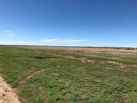 11290 W COSTLEY Road, Amarillo, TX 79119