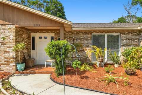 2222 ARCH MCDONALD DRIVE, DOVER, FL 33527