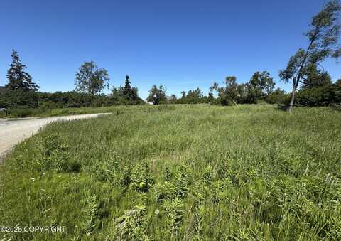 60576 Jannys Avenue, Clam Gulch, AK 99568