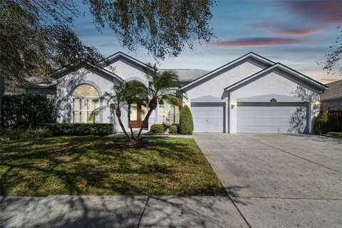 15209 HAMMOCK CHASE COURT, ODESSA, FL 33556