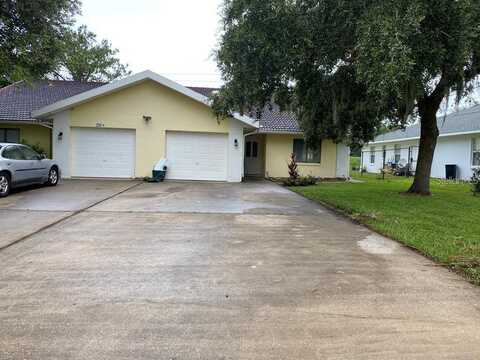 250 SE CORAL REEF CT., PALM COAST, FL 32137