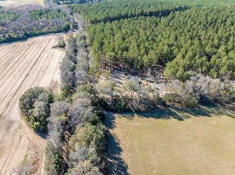 00 Millers Pond Rd, Wagener, SC 29164