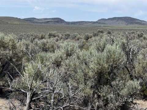 Butte Valley Road, Riley, OR 97758