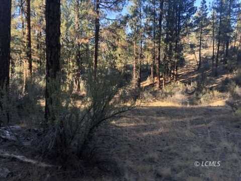 Magpie Drive, Chiloquin, OR 97624