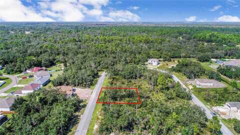 1343 HOMOSASSA DRIVE, KISSIMMEE, FL 34759