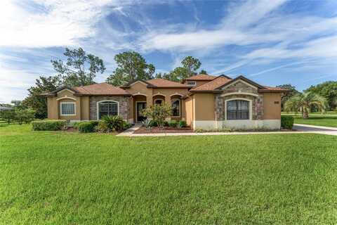 21312 MARSH VIEW COURT, CLERMONT, FL 34715