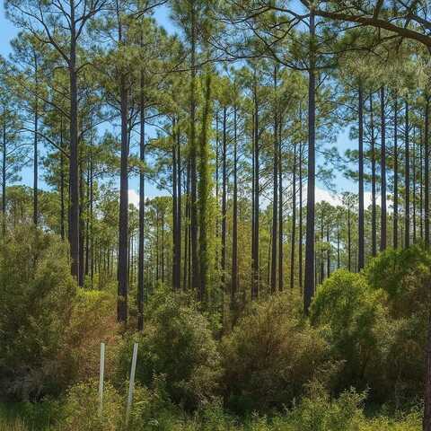 202 TAMARAC COURT, GEORGETOWN, FL 32139
