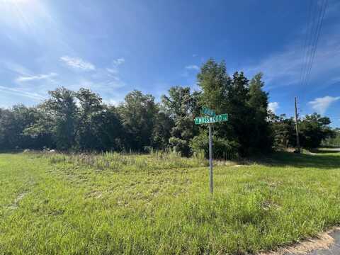 1425 W MOSSWOOD LANE, CITRUS SPRINGS, FL 34434