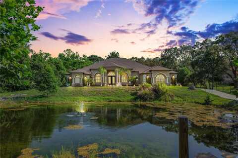 16291 EAGLE VIEW DRIVE, SPRING HILL, FL 34610