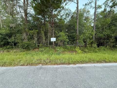 905 E HILLSBOROUGH, FLORAHOME, FL 32140