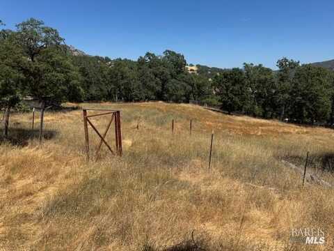 11205 Wild Oaks Lane, Ukiah, CA 95482