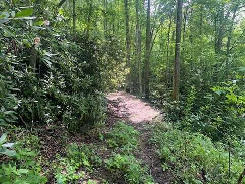 White Oak Fork Rd, FAYETTEVILLE, WV 25840