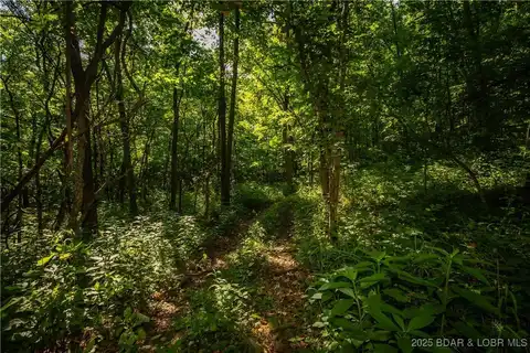 Beechnut, Stover, MO 65078