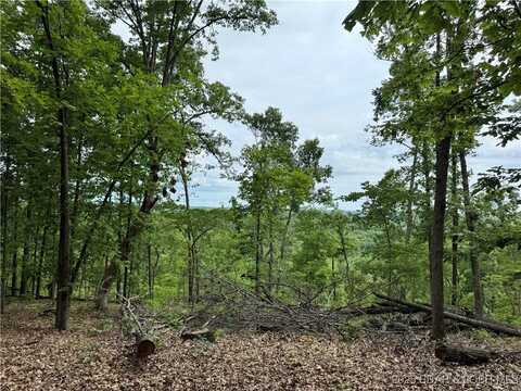 Coelleda School Rd., Roach, MO 06587