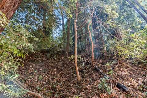 Lot 28 La Lena ST, FELTON, CA 95018