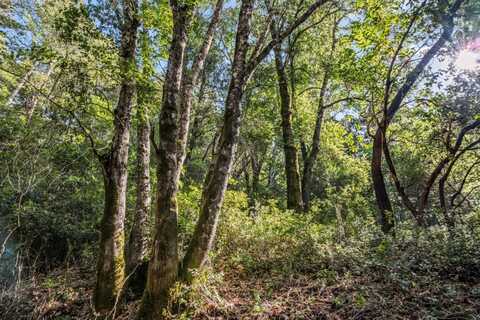 Lot 1 Desear, FELTON, CA 95018