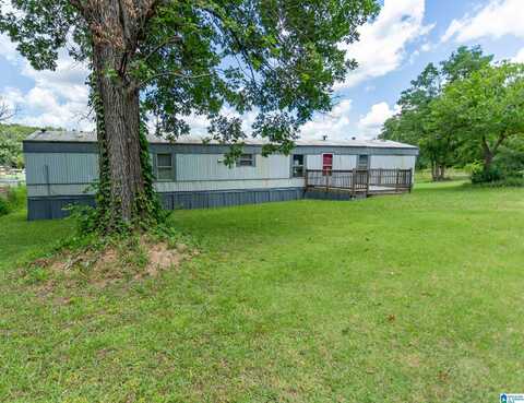 1254 SHORE DRIVE, ASHVILLE, AL 35953