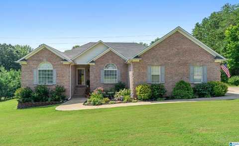 275 ANDERSON MTN DRIVE, ODENVILLE, AL 35120