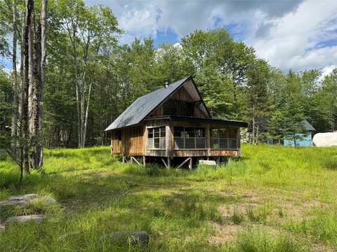 2 W Forest Lane, Parksville, NY 12768