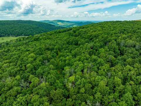 0 Old 66 Rd, Leslie, AR 72645