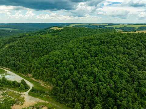 Hwy 9, Mountain View, AR 72533