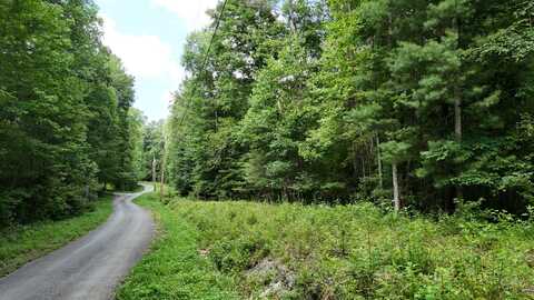 Lot 13/14 Clifton Cemetery Road, Spring City, TN 37381