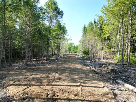 Lot 1-2 Off Clear Cut Lodge Road, Springfield, ME 04487