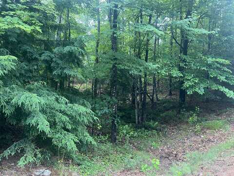 Lot #1 Intervale Road, Bethel, ME 04217
