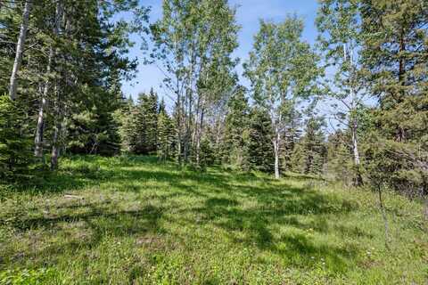 Smokey Mountain Drive, Anaconda, MT 59711