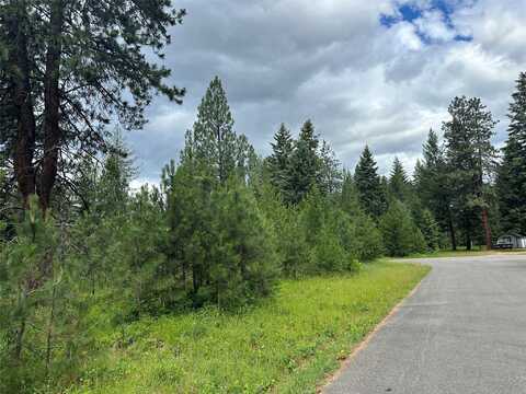 NHN Sapphire Lane lot: 13, Trout Creek, MT 59874