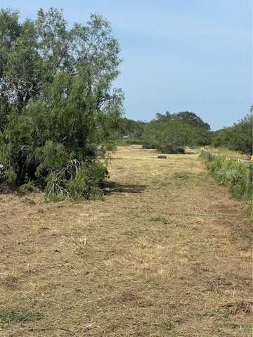 197 COUNTY ROAD 1171, Alice, TX 78332