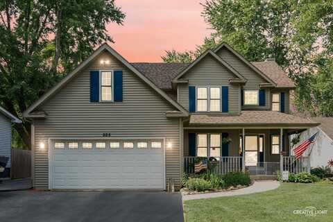 925 Suzy Street, Holliday, IL 60548