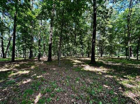 220 Beyers Lake Est, Pana, IL 62557
